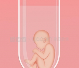 补血的食物吃什么最好